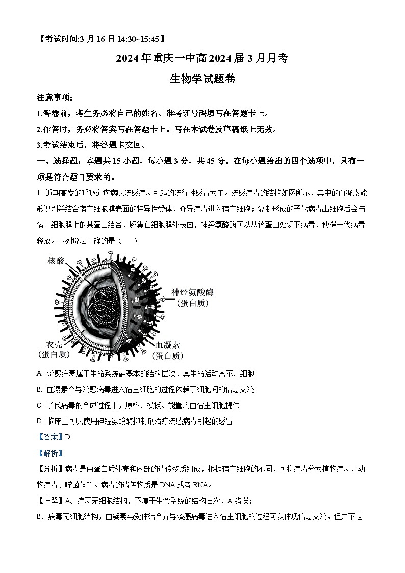 重庆市第一中学2023-2024学年高三下学期3月月考生物试题含解析第1页