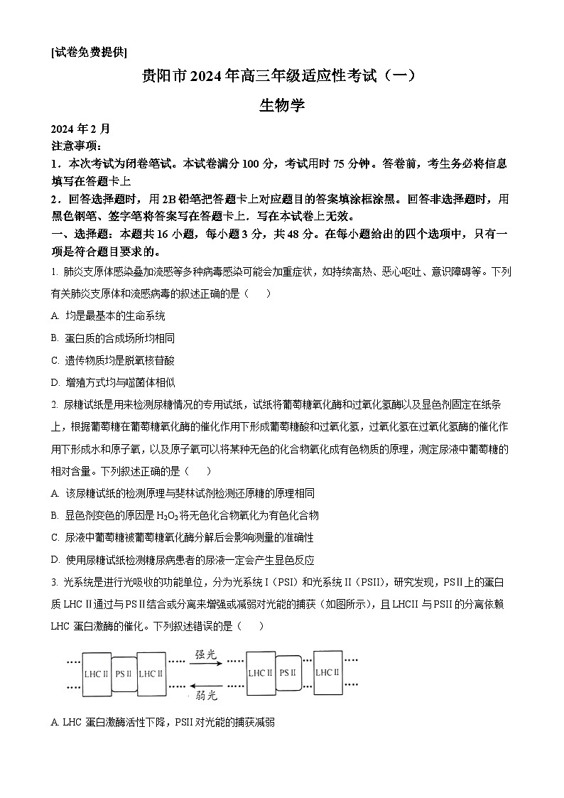 2024贵阳高三下学期适应性考试（一）生物含解析01