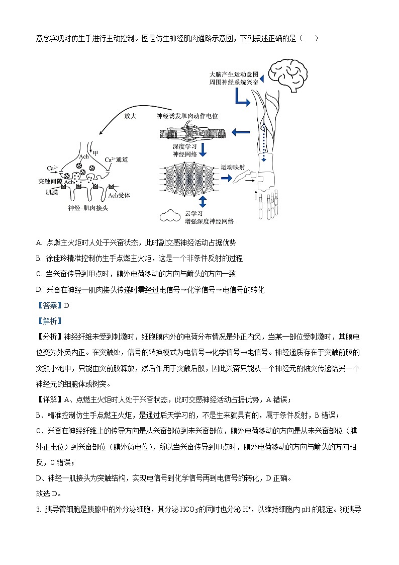 2024荆州沙中学高二下学期3月月考生物试题含解析02