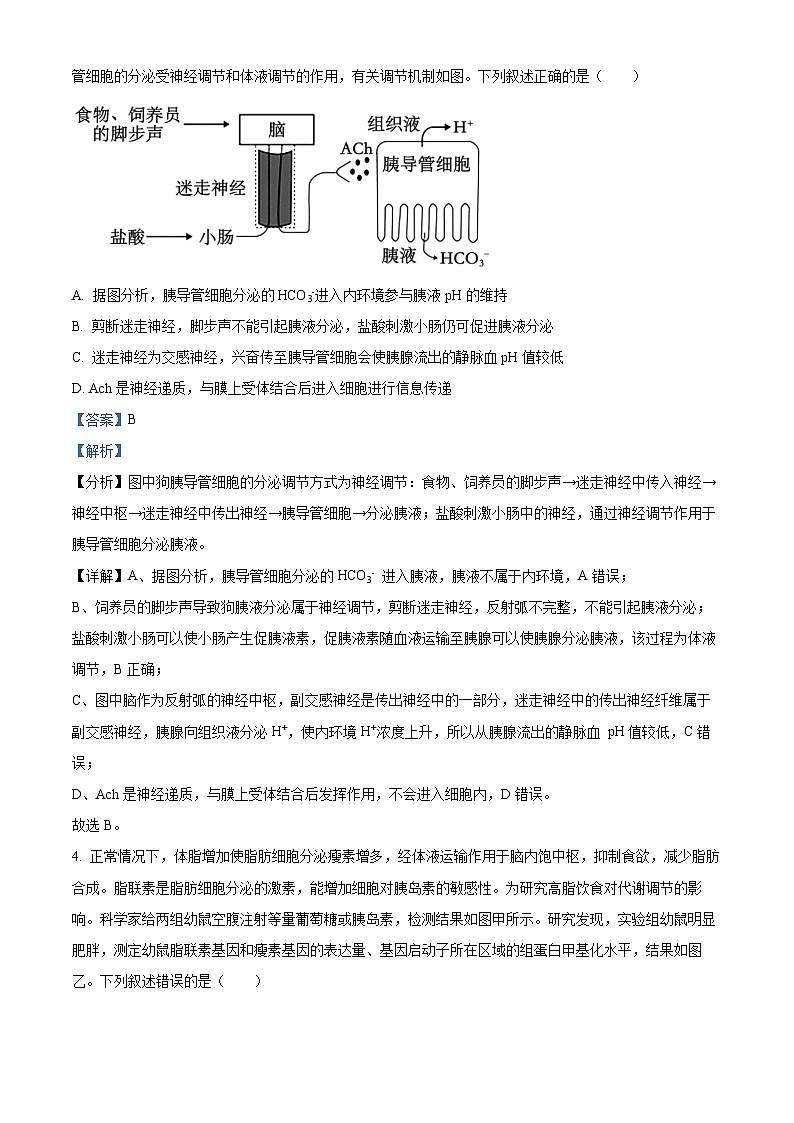 2024荆州沙中学高二下学期3月月考生物试题含解析03