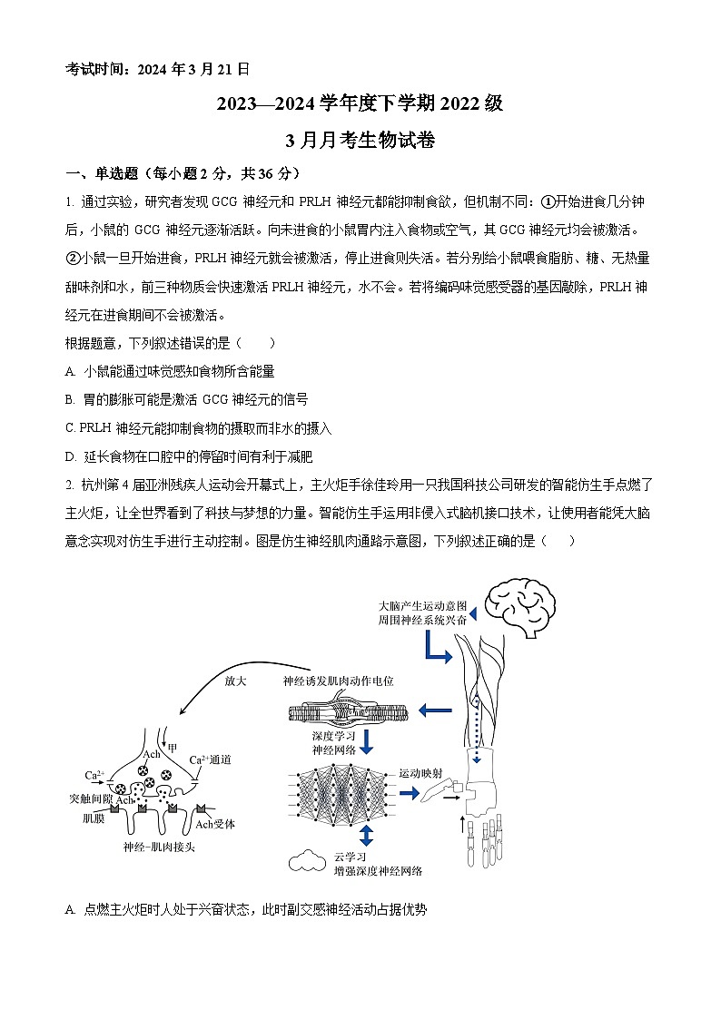 2024荆州沙中学高二下学期3月月考生物试题含解析01