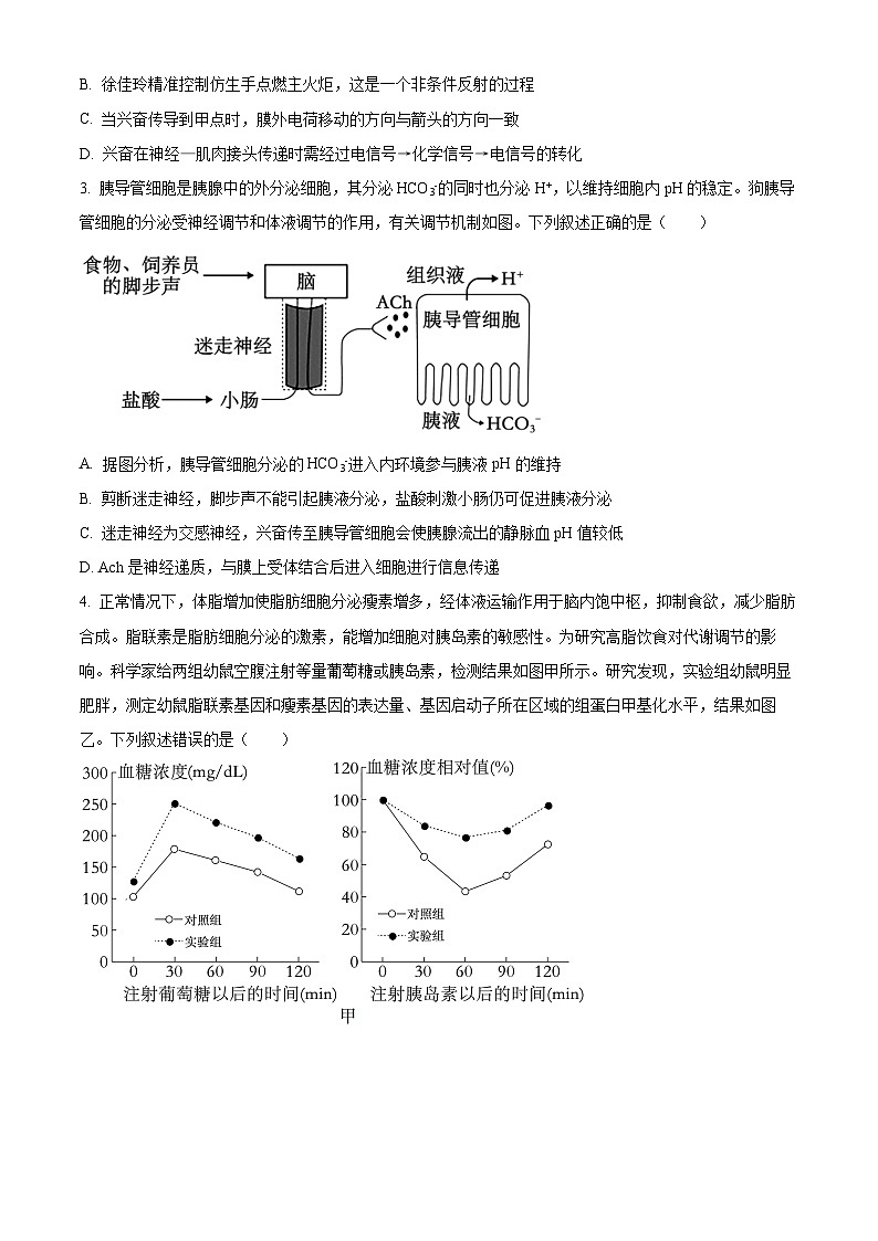 2024荆州沙中学高二下学期3月月考生物试题含解析02