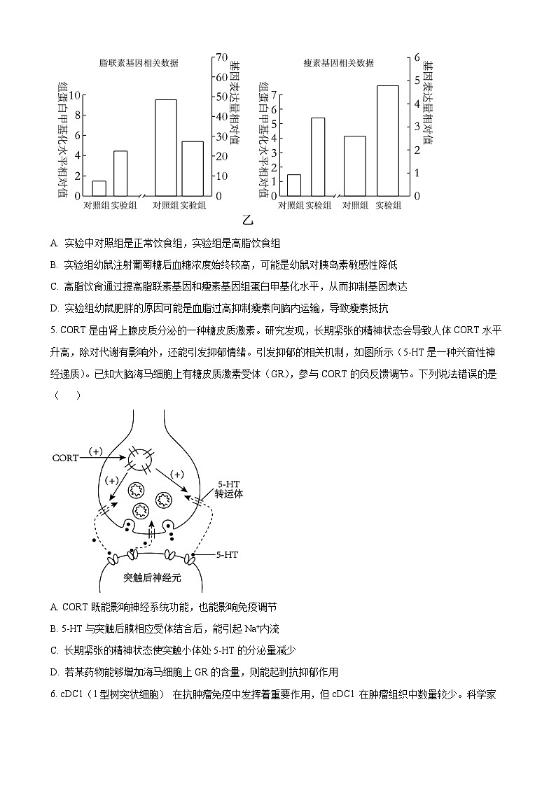 2024荆州沙中学高二下学期3月月考生物试题含解析03