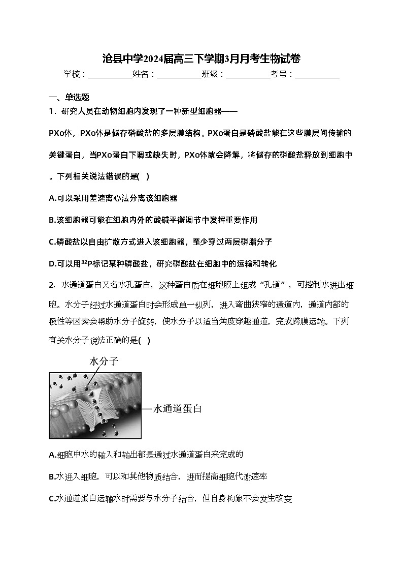 沧县中学2024届高三下学期3月月考生物试卷(含答案)第1页