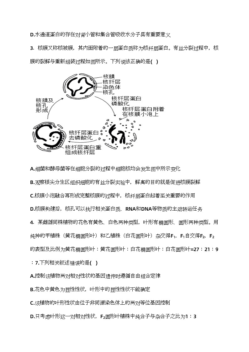 沧县中学2024届高三下学期3月月考生物试卷(含答案)第2页