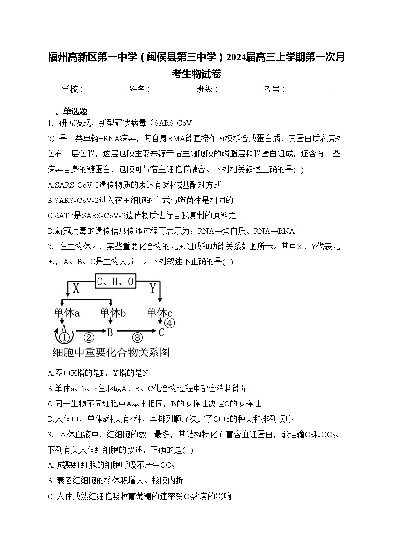 福州高新区第一中学（闽侯县第三中学）2024届高三上学期第一次月考生物试卷(含答案)01