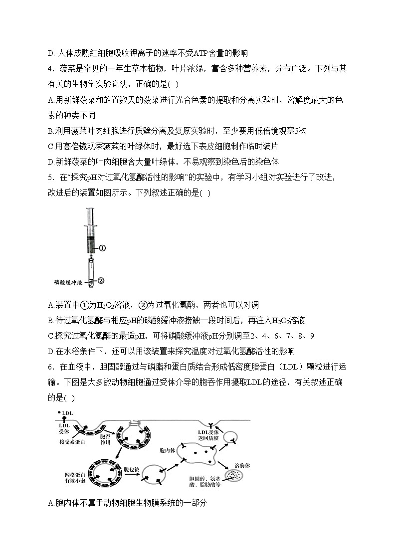 福州高新区第一中学（闽侯县第三中学）2024届高三上学期第一次月考生物试卷(含答案)02