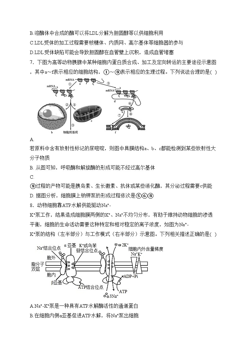 福州高新区第一中学（闽侯县第三中学）2024届高三上学期第一次月考生物试卷(含答案)03