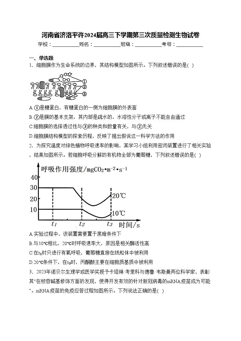 河南省济洛平许2024届高三下学期第三次质量检测生物试卷(含答案)第1页