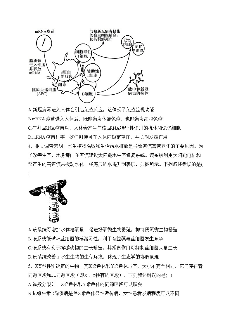河南省济洛平许2024届高三下学期第三次质量检测生物试卷(含答案)第2页