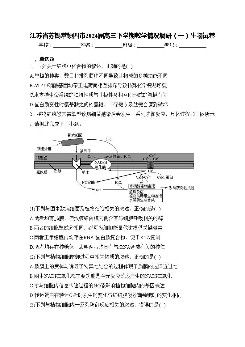 江苏省苏锡常镇四市2024届高三下学期教学情况调研（一）生物试卷(含答案)第1页
