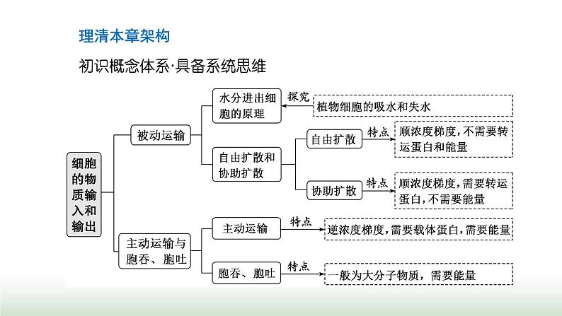 人教版高中生物必修1第4章细胞的物质输入和输出第1节第1课时水进出细胞的原理课件第3页