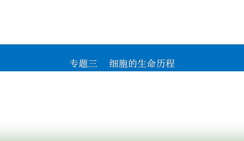 2024届高考生物二轮复习热点专题三细胞的生命历程四细胞分裂与可遗传变异的关系课件第1页