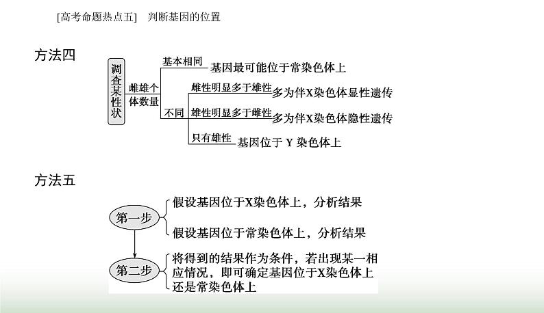 2024届高考生物二轮复习热点专题四遗传规律和伴性遗传五判断基因的位置课件第4页