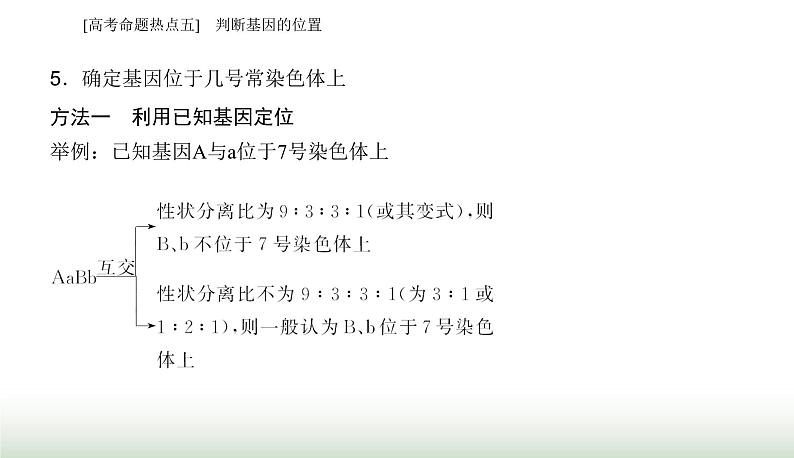 2024届高考生物二轮复习热点专题四遗传规律和伴性遗传五判断基因的位置课件第7页