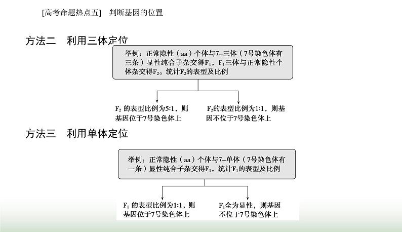 2024届高考生物二轮复习热点专题四遗传规律和伴性遗传五判断基因的位置课件第8页