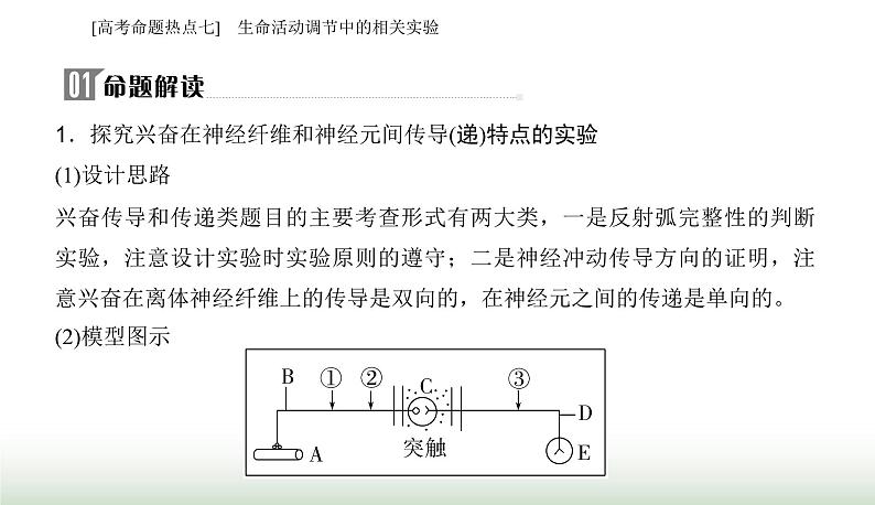 2024届高考生物二轮复习热点专题六个体稳态的维持——调节七生命活动调节中的相关实验课件02