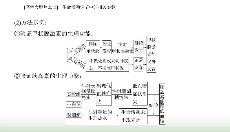 2024届高考生物二轮复习热点专题六个体稳态的维持——调节七生命活动调节中的相关实验课件05