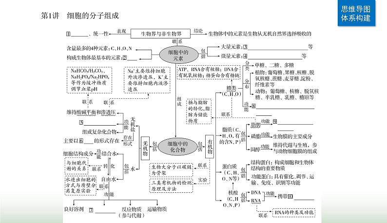 2024届高考生物二轮复习第1讲细胞的分子组成课件第2页