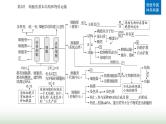 2024届高考生物二轮复习第2讲细胞的基本结构和物质运输课件