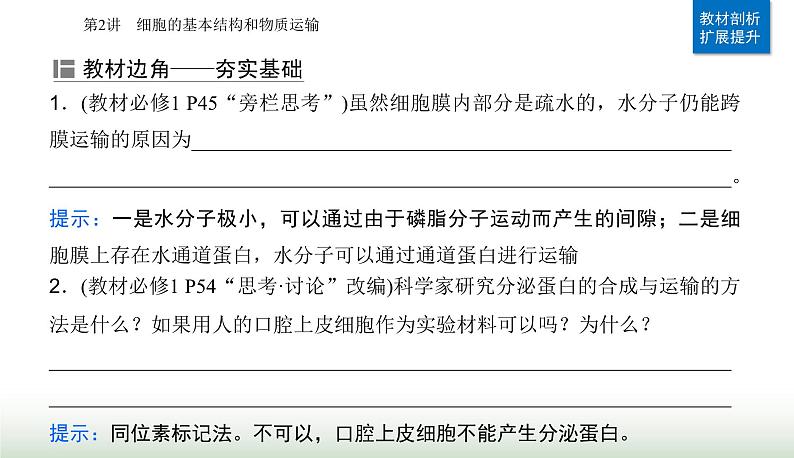 2024届高考生物二轮复习第2讲细胞的基本结构和物质运输课件04