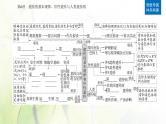 2024届高考生物二轮复习专题四遗传规律和伴性遗传第6讲遗传的基本规律、伴性遗传与人类遗传病课件