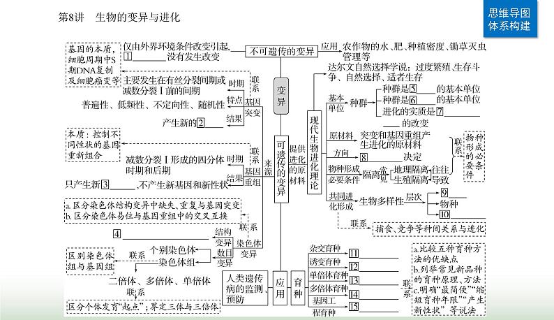 2024届高考生物二轮复习专题五遗传的分子基础、变异与进化第8讲生物的变异与进化课件02