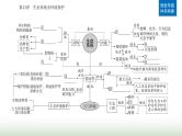 2024届高考生物二轮复习专题七生物与环境第13讲生态系统及环境保护课件