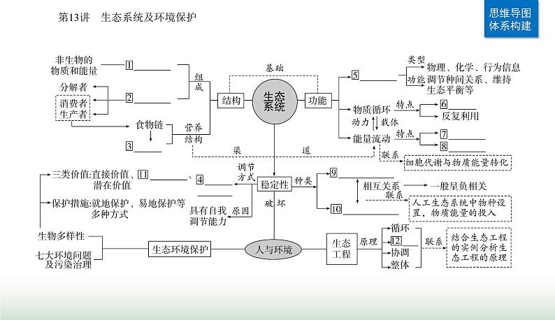 2024届高考生物二轮复习专题七生物与环境第13讲生态系统及环境保护课件02