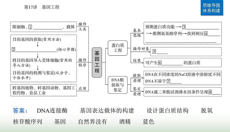 2024届高考生物二轮复习专题九生物技术与工程第17讲基因工程课件02