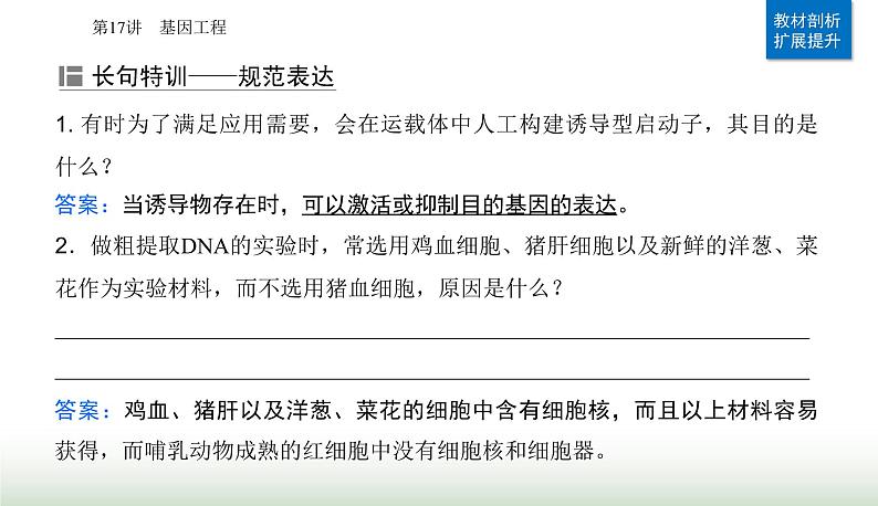 2024届高考生物二轮复习专题九生物技术与工程第17讲基因工程课件06