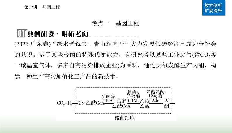 2024届高考生物二轮复习专题九生物技术与工程第17讲基因工程课件07