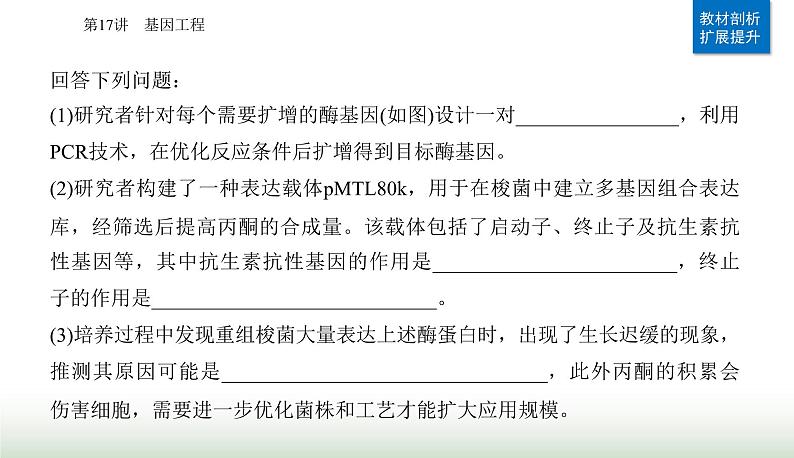 2024届高考生物二轮复习专题九生物技术与工程第17讲基因工程课件08