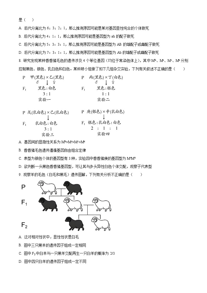 河南省安阳市林州市第一中学2023-2024学年高一下学期3月月考生物试卷（Word版附解析）第3页