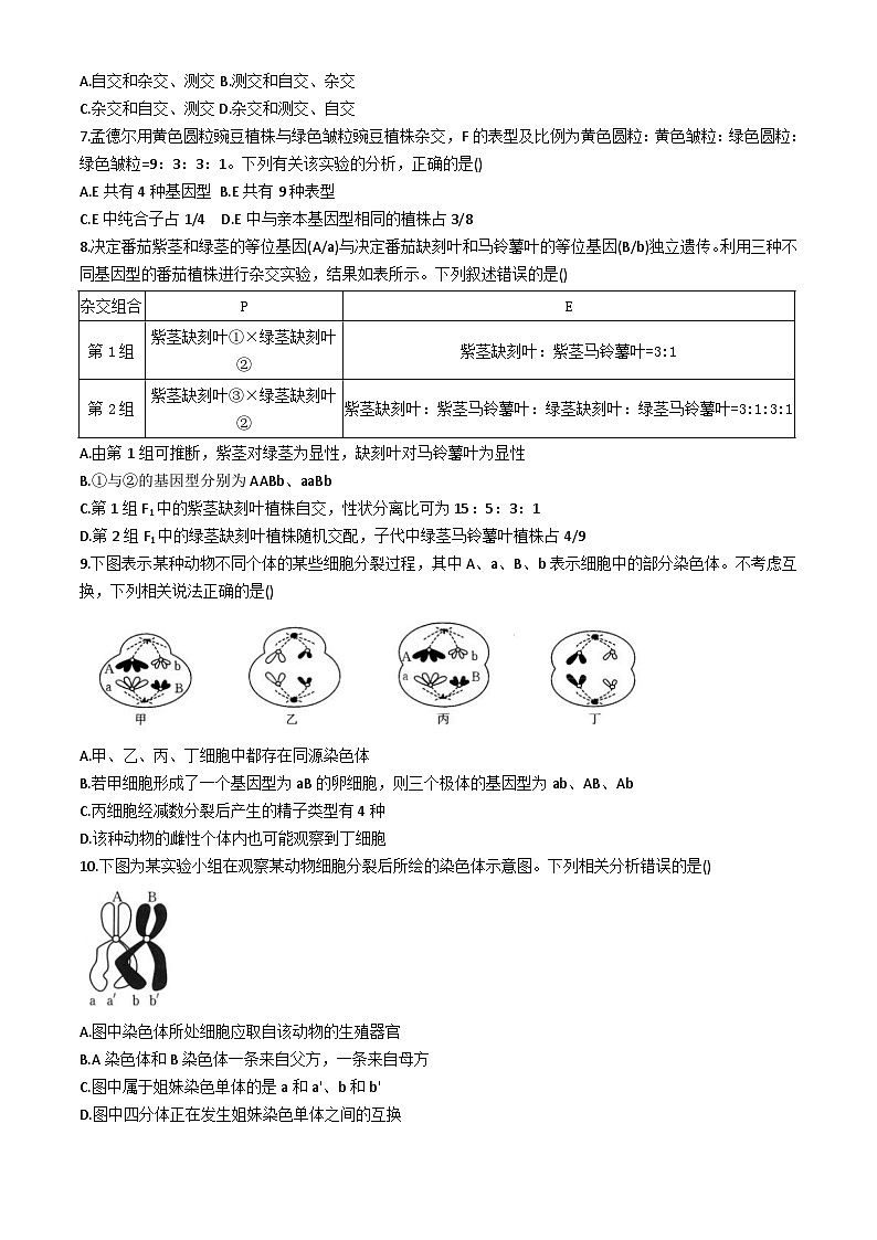 湖南省邵阳市邵东市第三中学2023-2024学年高一下学期3月月考生物试卷02