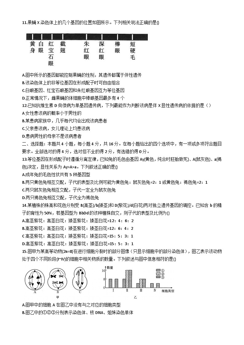 湖南省邵阳市邵东市第三中学2023-2024学年高一下学期3月月考生物试卷03