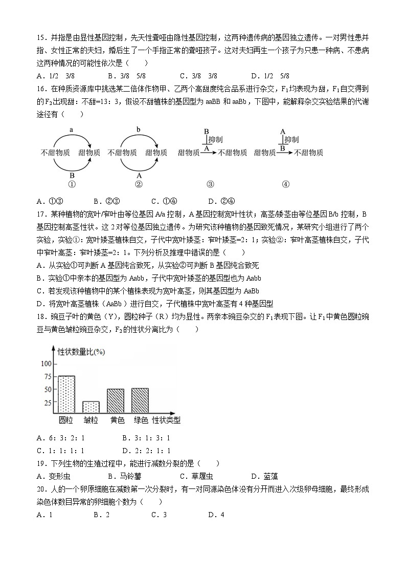 四川省成都市树德中学2023-2024学年高一下学期3月月考生物试题03