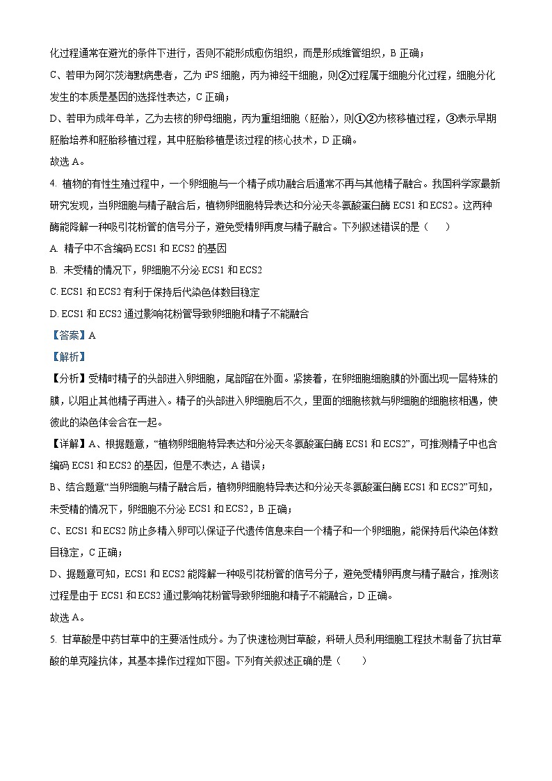 福建省三明市第一中学2023-2024学年高二下学期3月月考生物试题（解析版）第3页