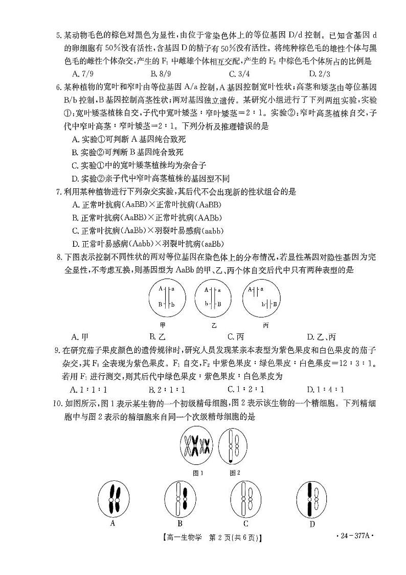 2024河南省创新发展联盟高一下学期3月月考试题生物PDF版含解析02