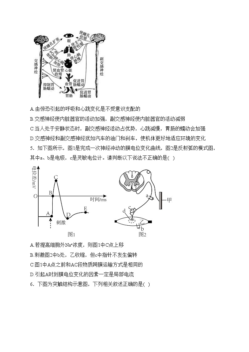 阜新市第二高级中学2022-2023学年高二上学期9月月考生物试卷(含答案)第2页