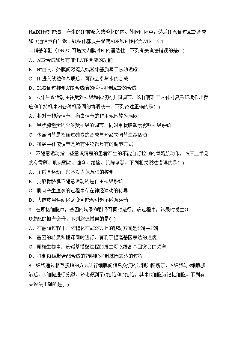 甘肃省白银市名校2024届高三下学期联合调研（二模）生物试卷(含答案)02
