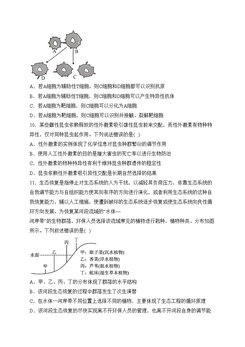 甘肃省白银市名校2024届高三下学期联合调研（二模）生物试卷(含答案)03