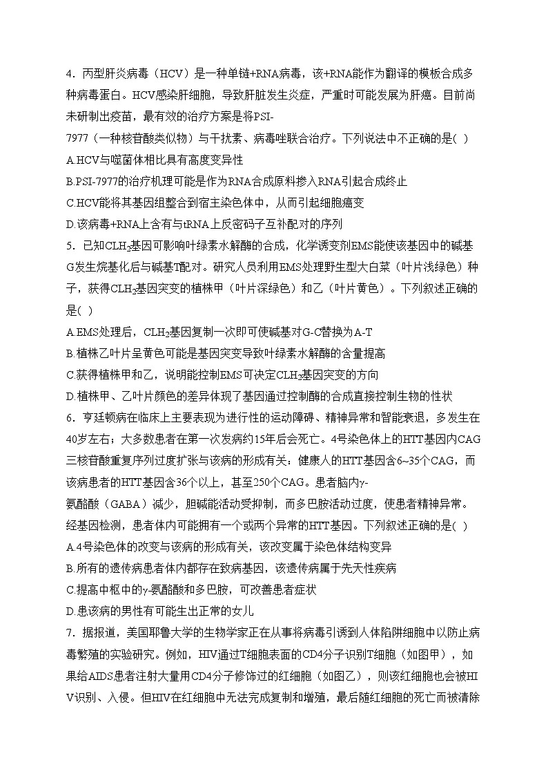 广东省茂名市五校2023-2024学年高二下学期3月联考生物试卷(含答案)02