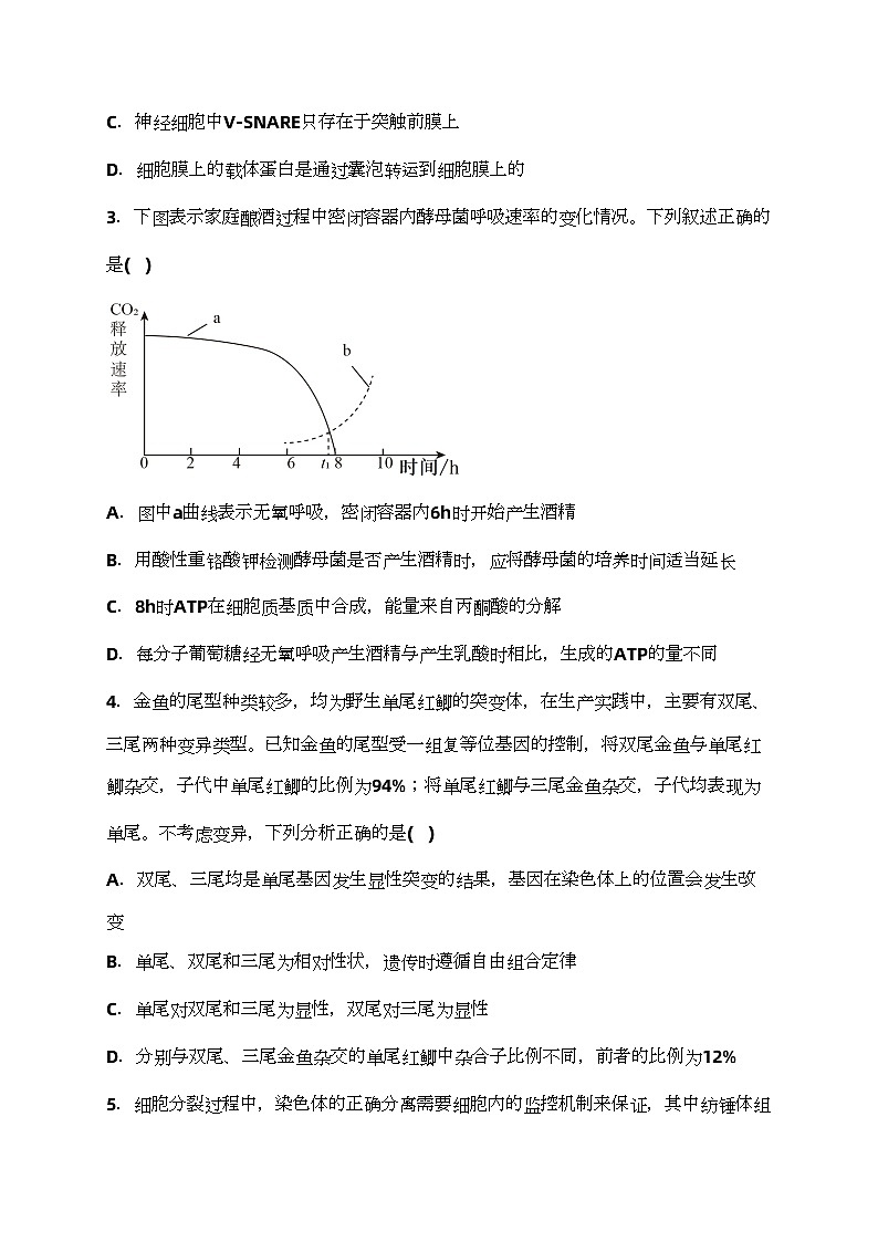 河北省沧县中学2024届高三下学期3月模拟预测生物试卷(含答案)02