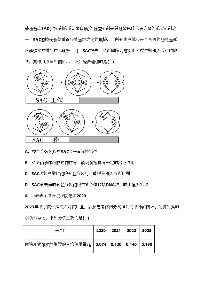 河北省沧县中学2024届高三下学期3月模拟预测生物试卷(含答案)03