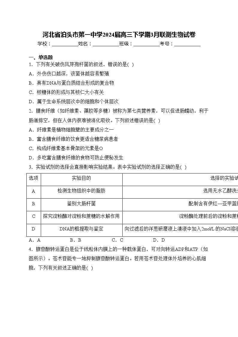 河北省泊头市第一中学2024届高三下学期3月联测生物试卷(含答案)第1页