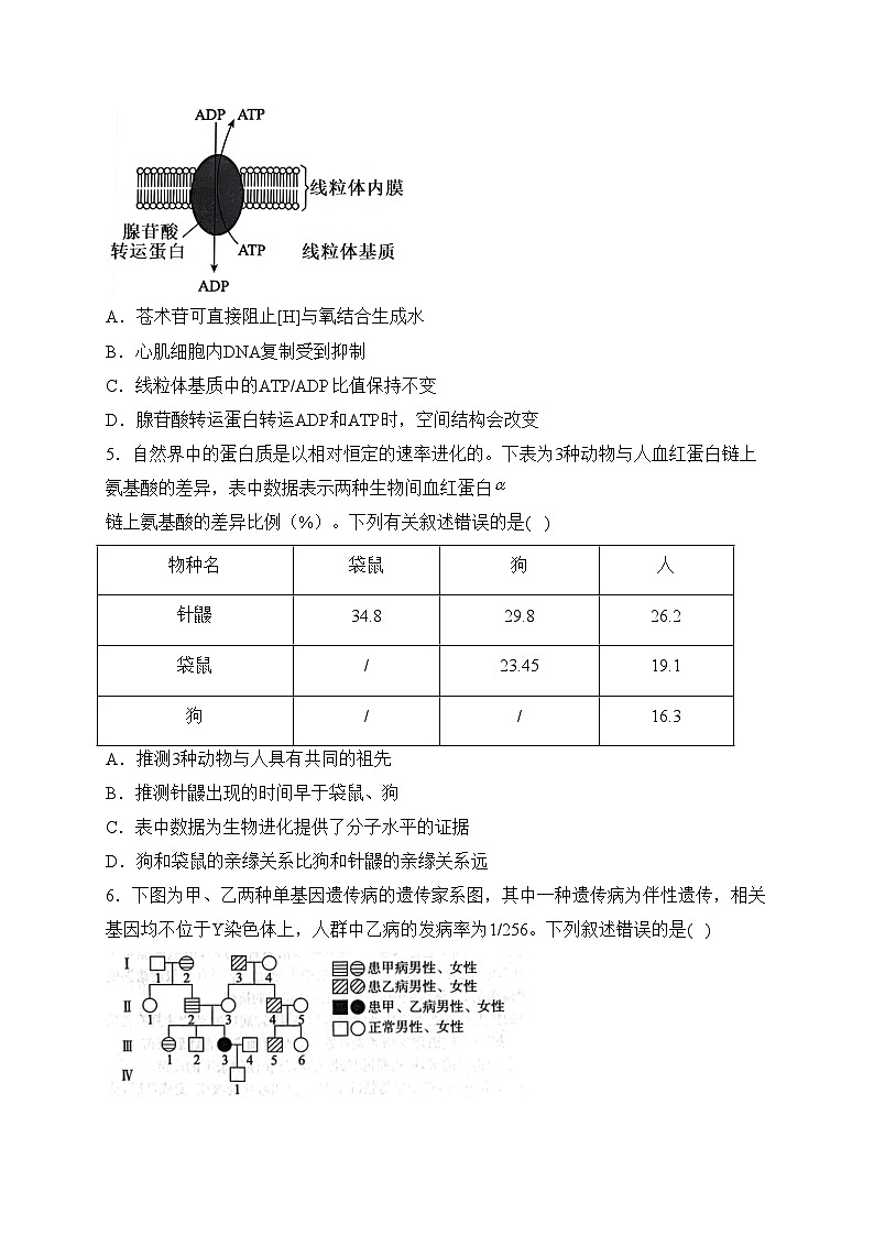 河北省泊头市第一中学2024届高三下学期3月联测生物试卷(含答案)第2页