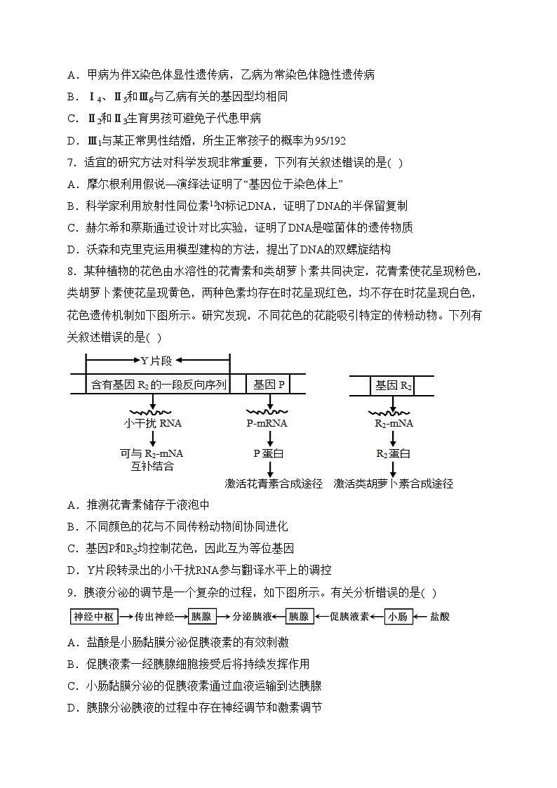 河北省泊头市第一中学2024届高三下学期3月联测生物试卷(含答案)第3页