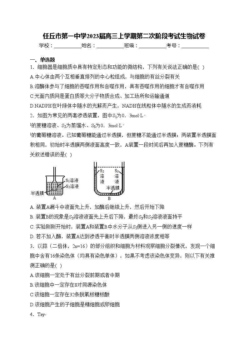 任丘市第一中学2023届高三上学期第二次阶段考试生物试卷(含答案)第1页