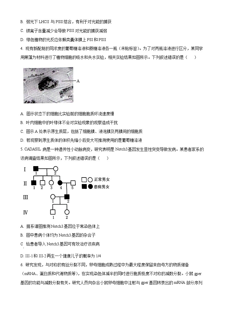 贵州省贵阳市2024届高三下学期适应性考试（一）生物 Word版含解析02